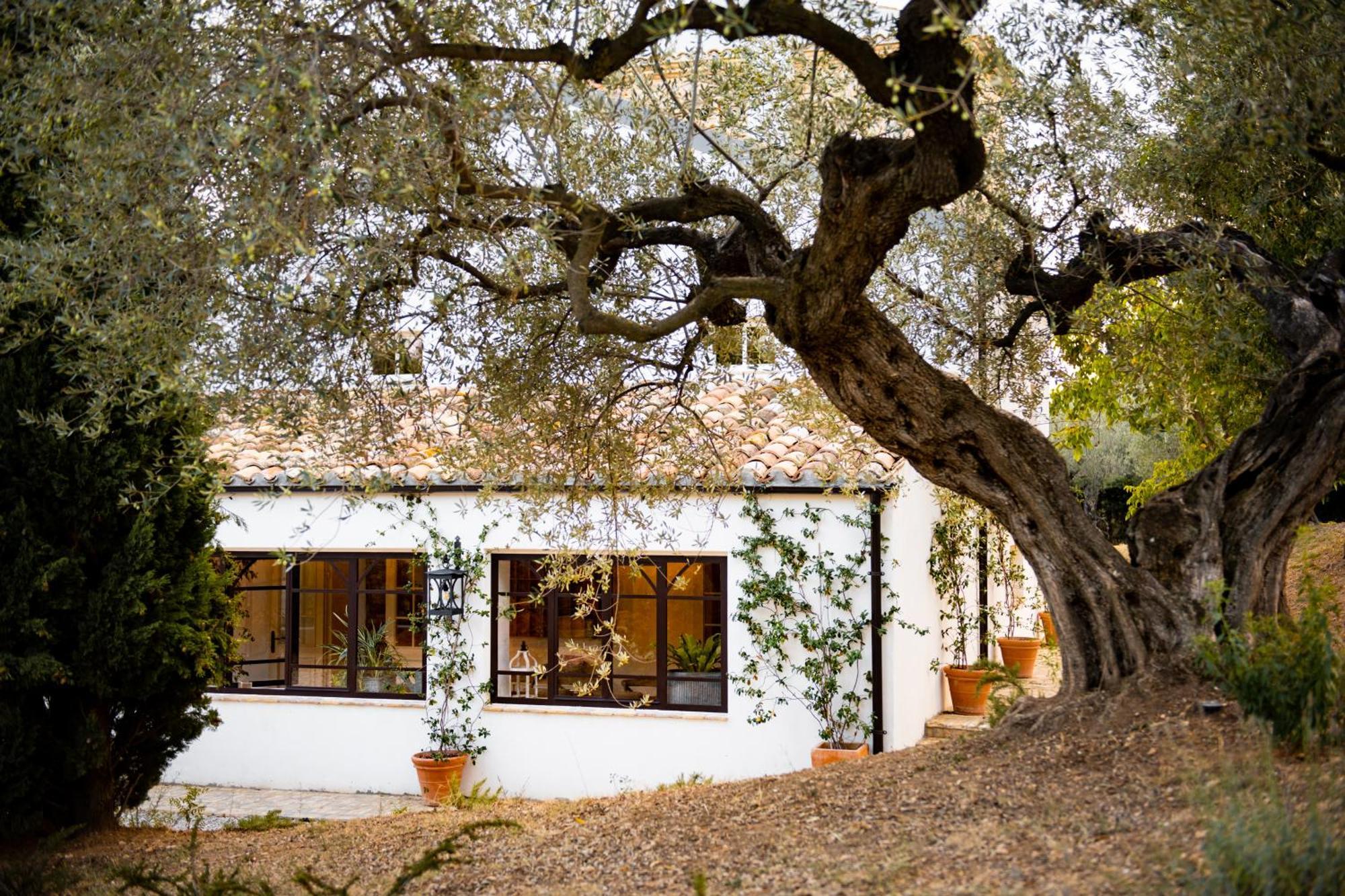 Casale Delle Lavande Città Sant'Angelo Exterior foto